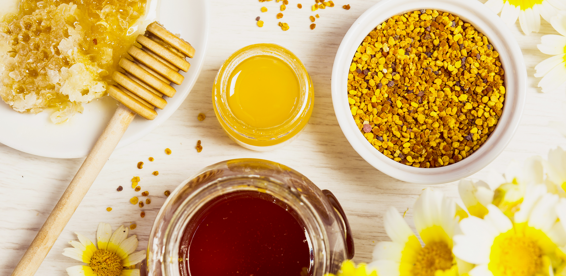 Moutarde au Miel Pommery® : Guide d'utilisation quotidienne